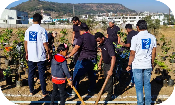 Team planting trees collaboratively in green landscape